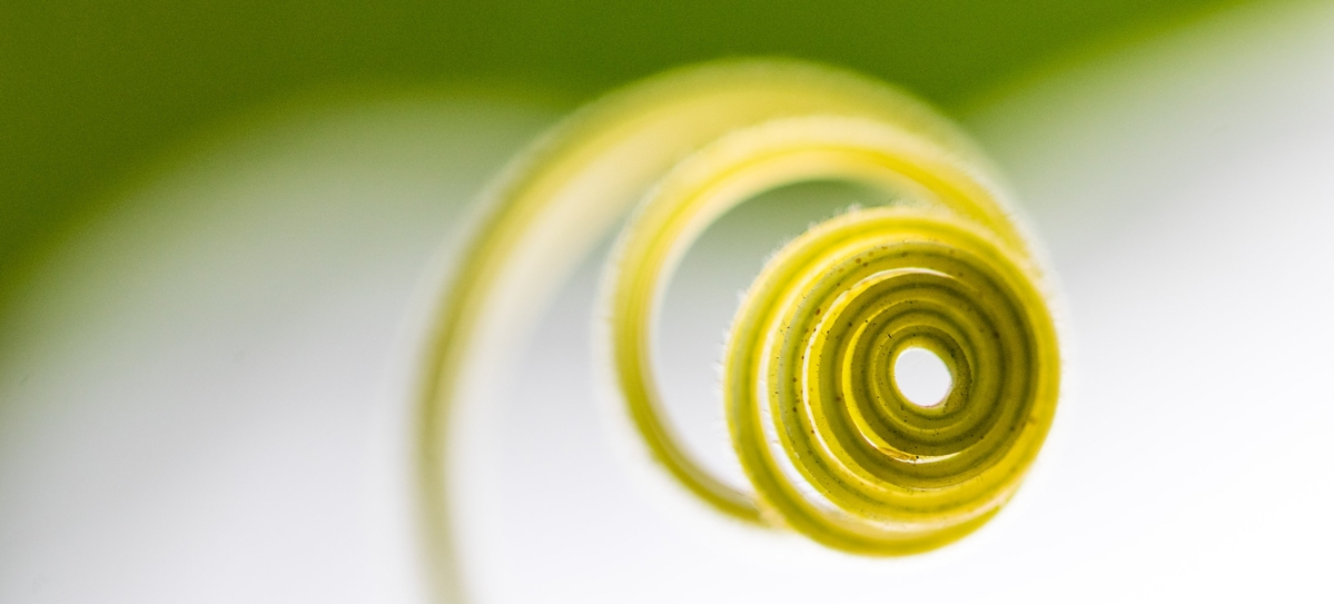 spiral2